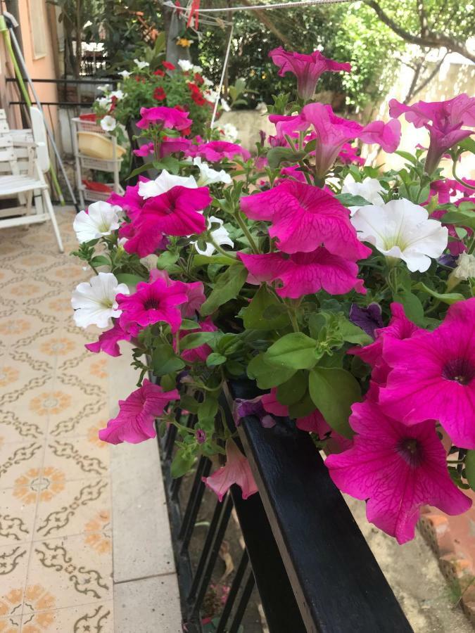 Simple And Very Appartement Olbia